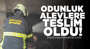 Odunluk alevlere teslim oldu!