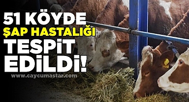 51 köyde şap hastalığı tespit edildi!