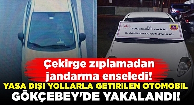 Çekirge zıplamadan jandarma enseledi!