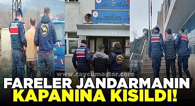 Fareler jandarmanın kapanına kısıldı!