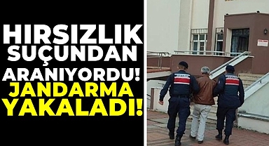 Hırsızlık suçundan aranıyordu, jandarma yakaladı!