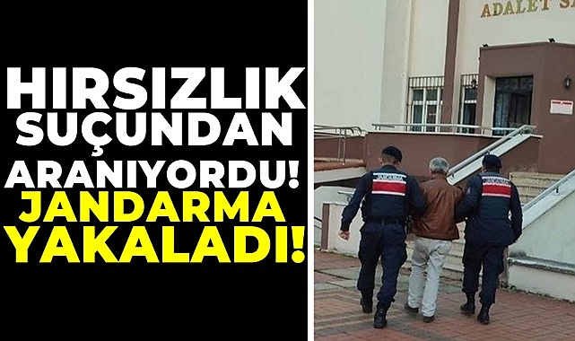 Hırsızlık suçundan aranıyordu, jandarma yakaladı!