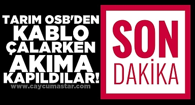Tarım OSB'den kablo çalarken akıma kapıldılar!