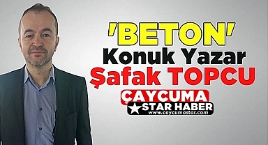 BELEDİYE MECLİS ÜYELERİ NE İŞ YAPAR?