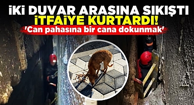 İki duvar arasına sıkıştı, itfaiye kurtardı!