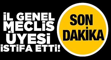 İl Genel Meclis Üyesi istifa etti!