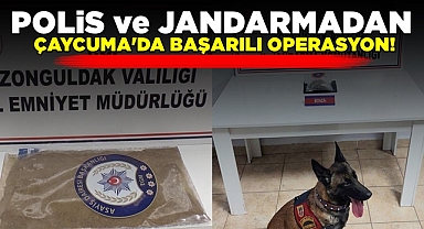 Polis ve Jandarmadan Çaycuma'da başarılı operasyon!