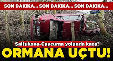Saltukova-Çaycuma yolunda kaza! Ormana uçtu!