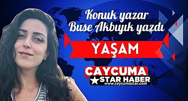 ZONGULDAK BELEDİYESİ SOKAK HAYVANLARI İÇİN NE YAPIYOR?