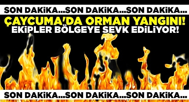 Çaycuma'da orman yangını! / Ekipler bölgeye sevk ediliyor!