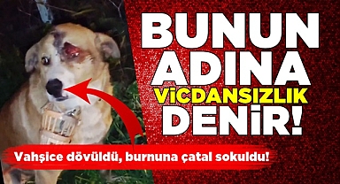 Bunun adına 'Vicdansızlık' denir!