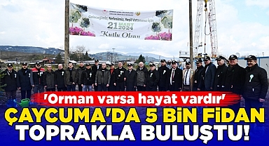 Çaycuma'da 5 bin fidan toprakla buluştu!
