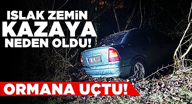 Islak zemin kazaya neden oldu! Ormana uçtu!