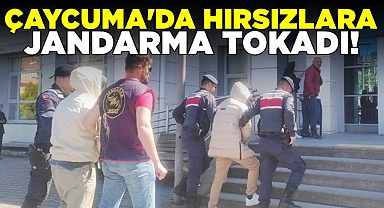 Çaycuma'da hırsızlara jandarma tokadı!