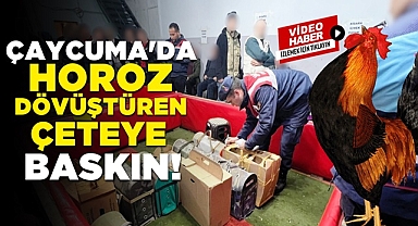 Çaycuma'da horoz dövüştüren çeteye baskın!