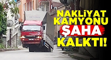 Nakliyat kamyonu şaha kalktı!