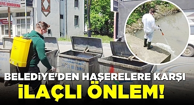 Belediye'den haşerelere karşı ilaçlı önlem!