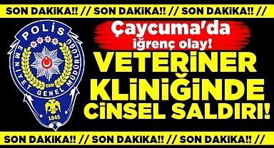 Çaycuma'da iğrenç olay! Veteriner kliniğinde cinsel saldırı!