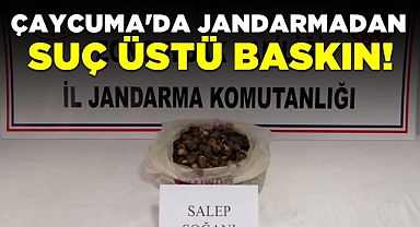 Çaycuma'da jandarmadan suç üstü baskın!