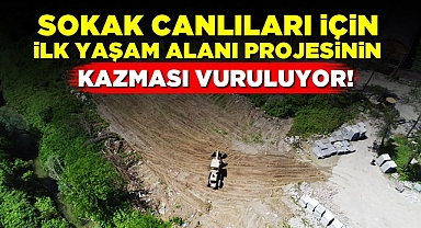 Sokak canlıları için ilk yaşam alanı projesinin kazması vuruluyor!