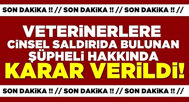 Veterinerlere cinsel saldırıda bulunan şüpheli hakkında karar verildi!