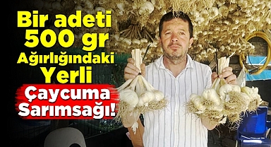 Çaycuma'da üretildi! Bir adeti 500 gr ağırlığında!