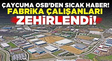 Çaycuma OSB'den sıcak haber! Fabrika çalışanları zehirlendi!