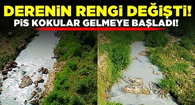 Derenin rengi değişti! Pis kokular gelmeye başladı! 