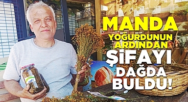 Manda yoğurdunun ardından şifayı dağda buldu!