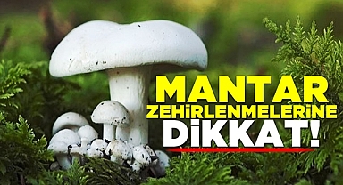Mantar zehirlenmelerine dikkat!