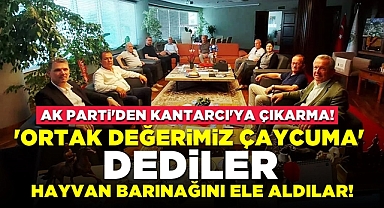 'Ortak değerimiz Çaycuma' dediler, hayvan barınağını ele aldılar!