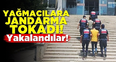 Yağmacılara jandarma tokadı! Yakalandılar!
