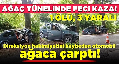 Ağaç tünelinde feci kaza! 1 ölü 3 yaralı