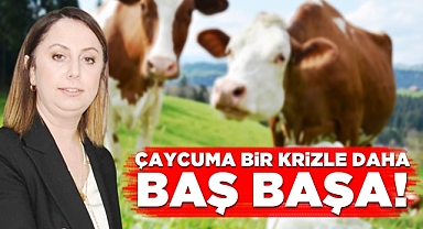 Çaycuma bir krizle daha baş başa!
