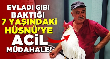 Evladı gibi baktığı 7 yaşındaki Hüsnü'ye acil müdahale!
