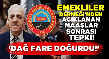 Eyidoğan; 'Dağ fare doğurdu!'