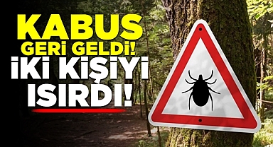 Kabus geri geldi! İki kişiyi ısırdı!