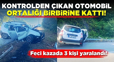 Kontrolden çıkan otomobil ortalığı birbirine kattı! 3 yaralı