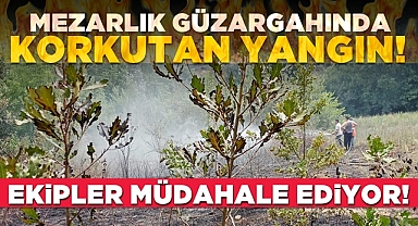 Mezarlık güzergâhında korkutan yangın!
