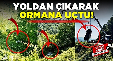 Yoldan çıkarak ormana uçtu! 