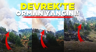 Devrek'te orman yangını! Takviye ekipler isteniyor!