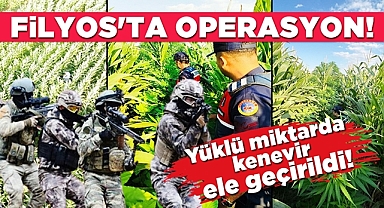 Filyos'ta operasyon! Yüklü miktarda kenevir ele geçirildi!