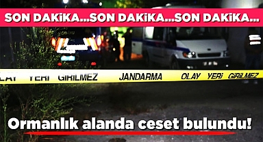 Ormanlık alanda ceset bulundu!