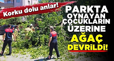 Parkta oynayan çocukların üzerine ağaç devrildi!