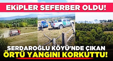 Serdaroğlu Köyü'nde çıkan örtü yangını korkuttu!