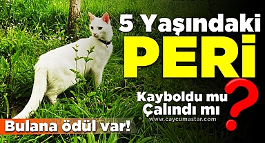 5 yaşındaki Peri kayboldu mu, çalındı mı? Bulana ödül var!