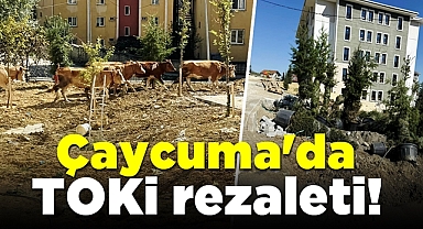 Çaycuma'da TOKİ rezaleti!