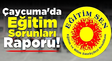 Eğitim-Sen'den Çaycuma'daki eğitim sorunları raporu!