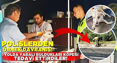 Örnek davranış! Polisler yolda yaralı buldukları köpeği tedavi ettirdi!