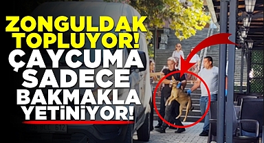 Zonguldak topluyor, Çaycuma sadece bakmakla yetiniyor!